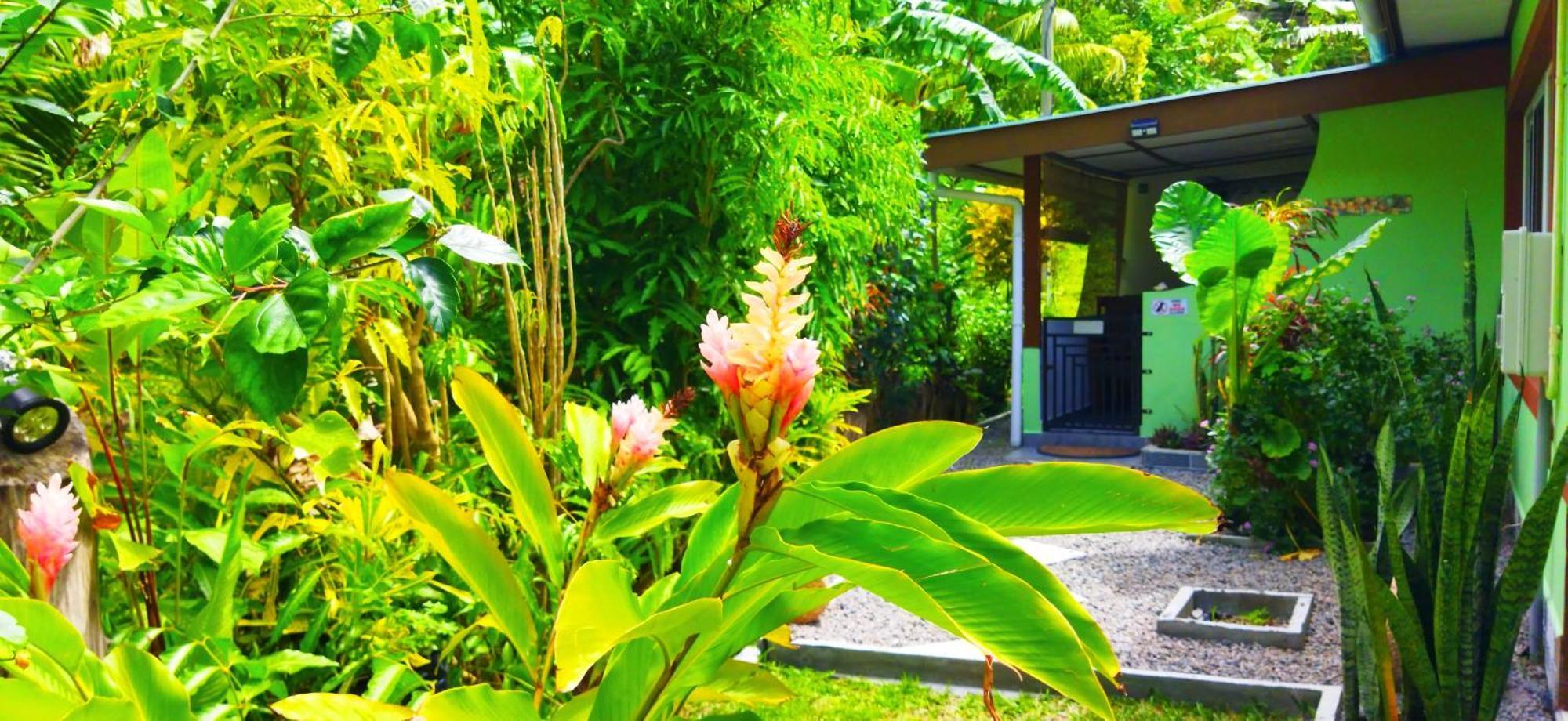 Dan Zoranz Self Catering Guest House ลาดิก ภายนอก รูปภาพ